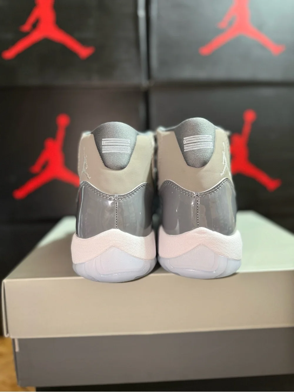 Jordan 11 Retro Cool Grey Low-Top Sneaker in Grey and White